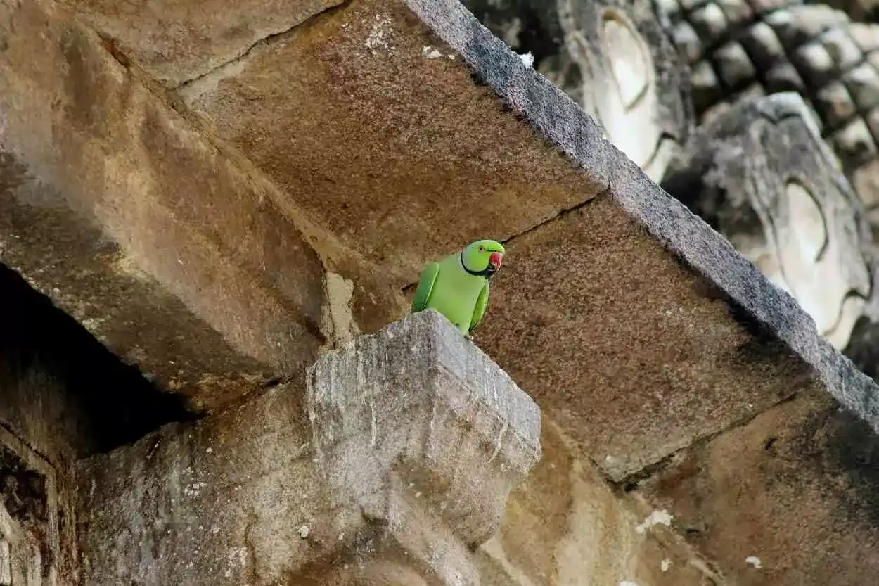 Convivência requer compreensão da diversidade