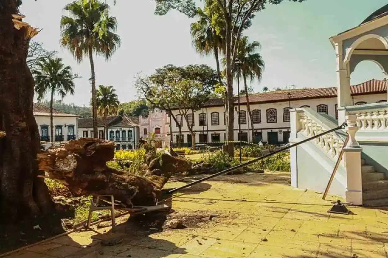 Queda do galho do antigo flamboyant, em 2021, causou danos ao banco e ao poste de iluminação do Jardim