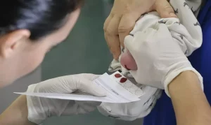 A coleta para o exame é feita por punção do calcanhar da criança. A triagem é realizada através de exames no sangue colhido no papel-filtro (sangue seco).