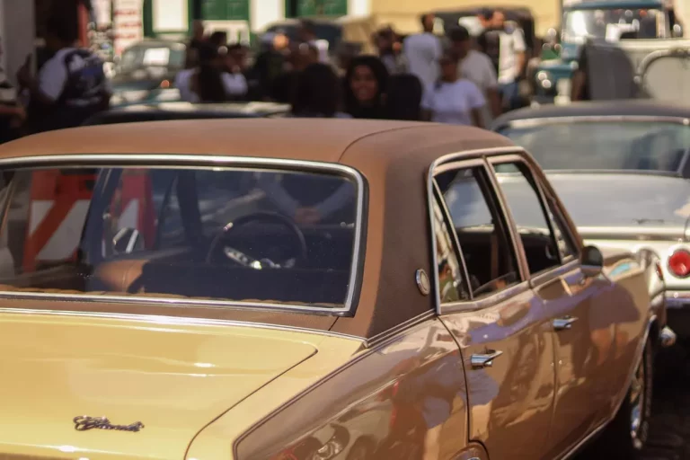 Opala 6 caneco