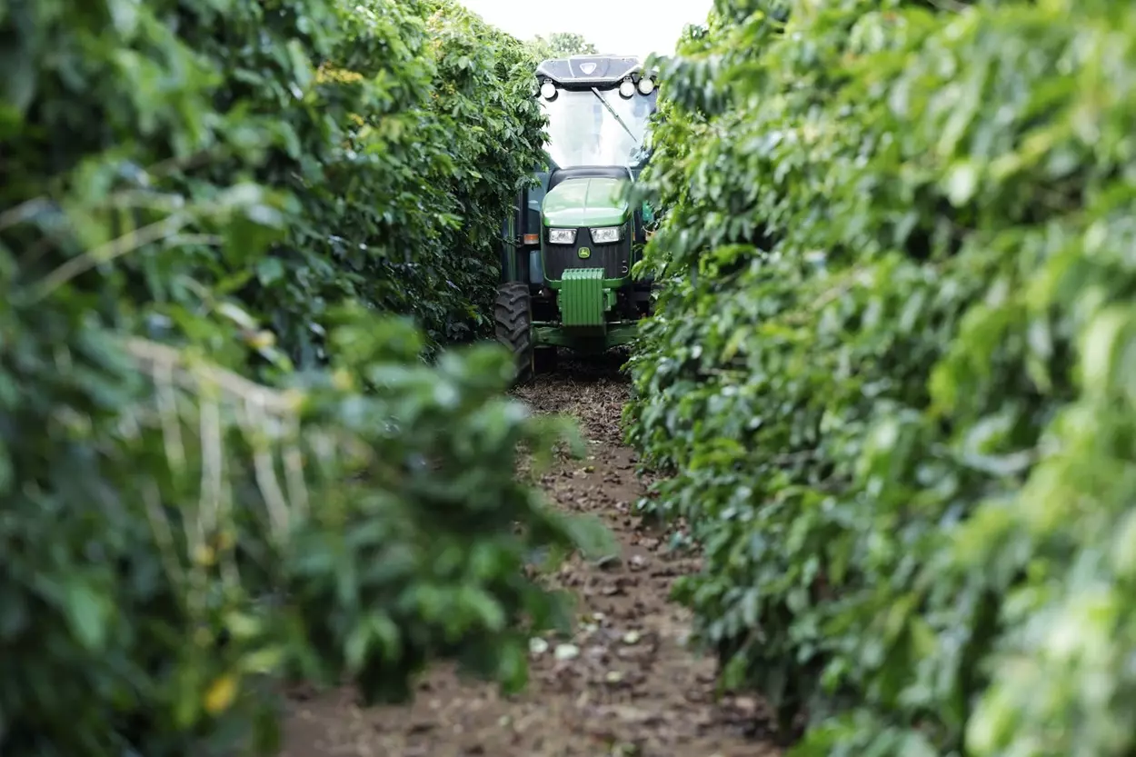Visita do Programa de Aceleração à uma fazenda de café em Araguari.
