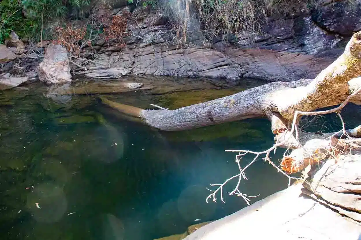 A queda da árvore e o baixo nível da cachoeira dificultavam o banho - Foto: Ana Beatriz Justino/Agência Primaz